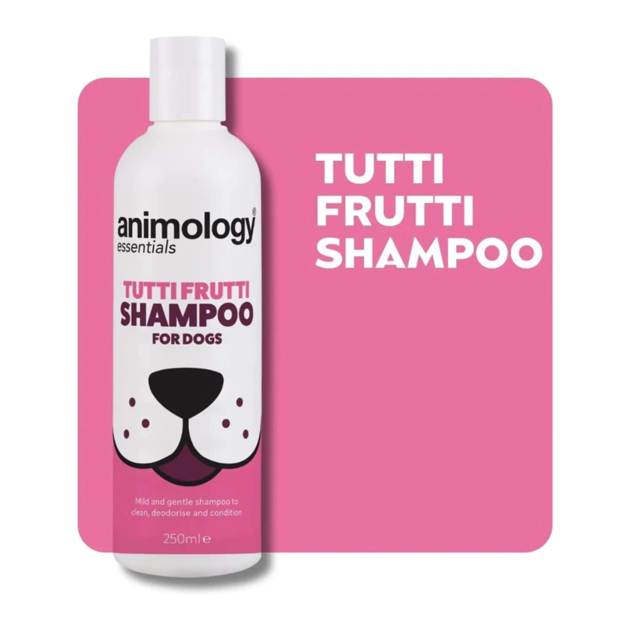 Animology Essential Dapper Dog Tutti Frutti Shampoo 6 x 250ml