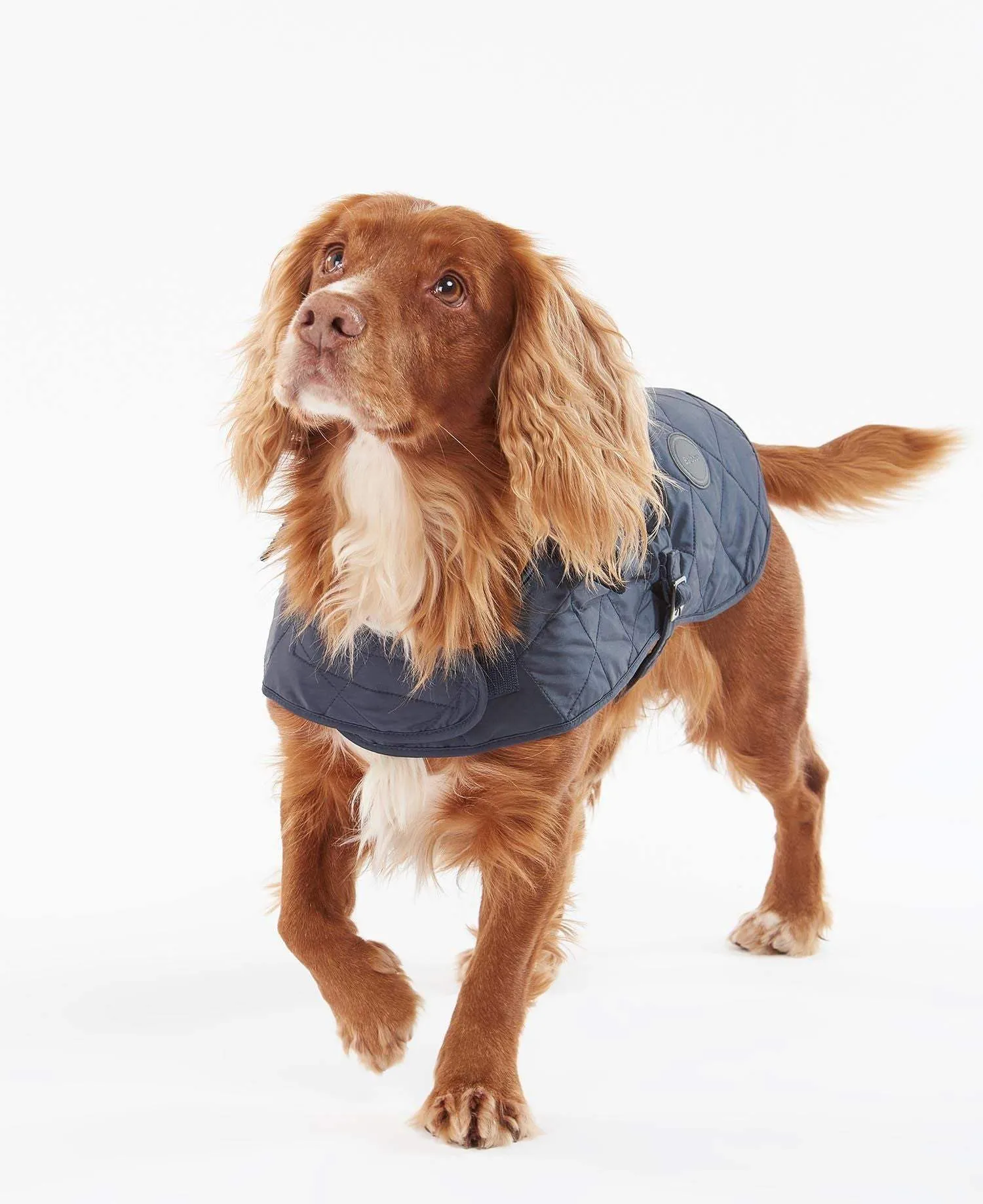 Barbour Hundajakki - Quilted Dog Coat - Navy