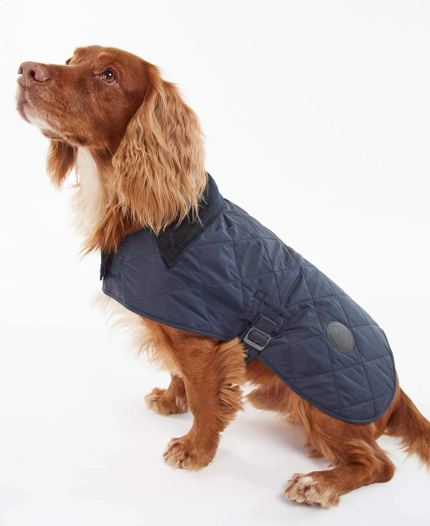 Barbour Hundajakki - Quilted Dog Coat - Navy