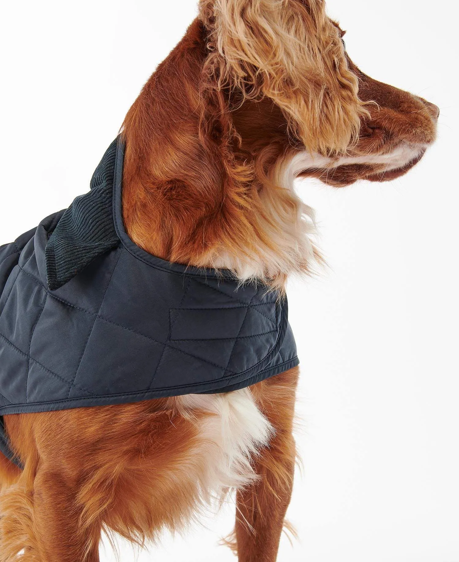 Barbour Hundajakki - Quilted Dog Coat - Navy