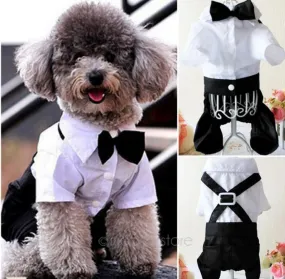 Dog Tuxedo!! CUTE!!! Formal, Pet Wedding Tuxedo with Bow Tie