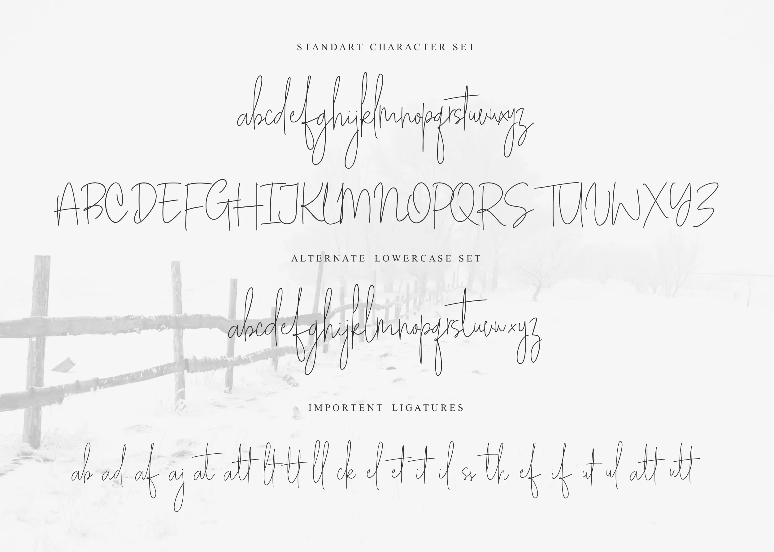 Free White Apparel Signature Font (FREE)