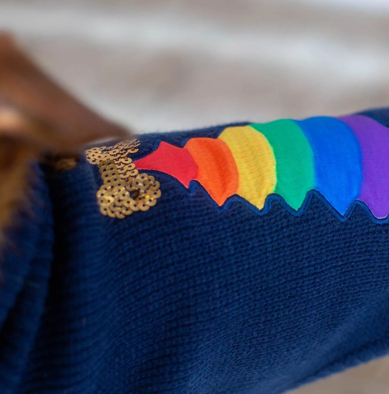 House of Paws Rainbow Christmas Jumper