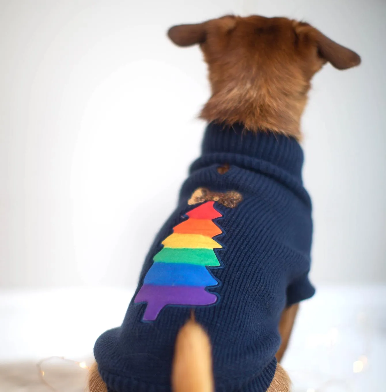 House of Paws Rainbow Christmas Jumper