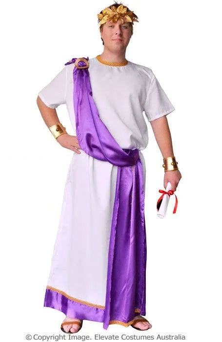 Julius Caesar Mens Plus Size Roman Costume