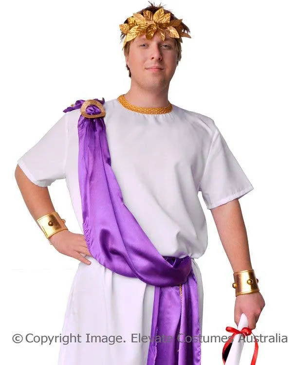 Julius Caesar Mens Plus Size Roman Costume