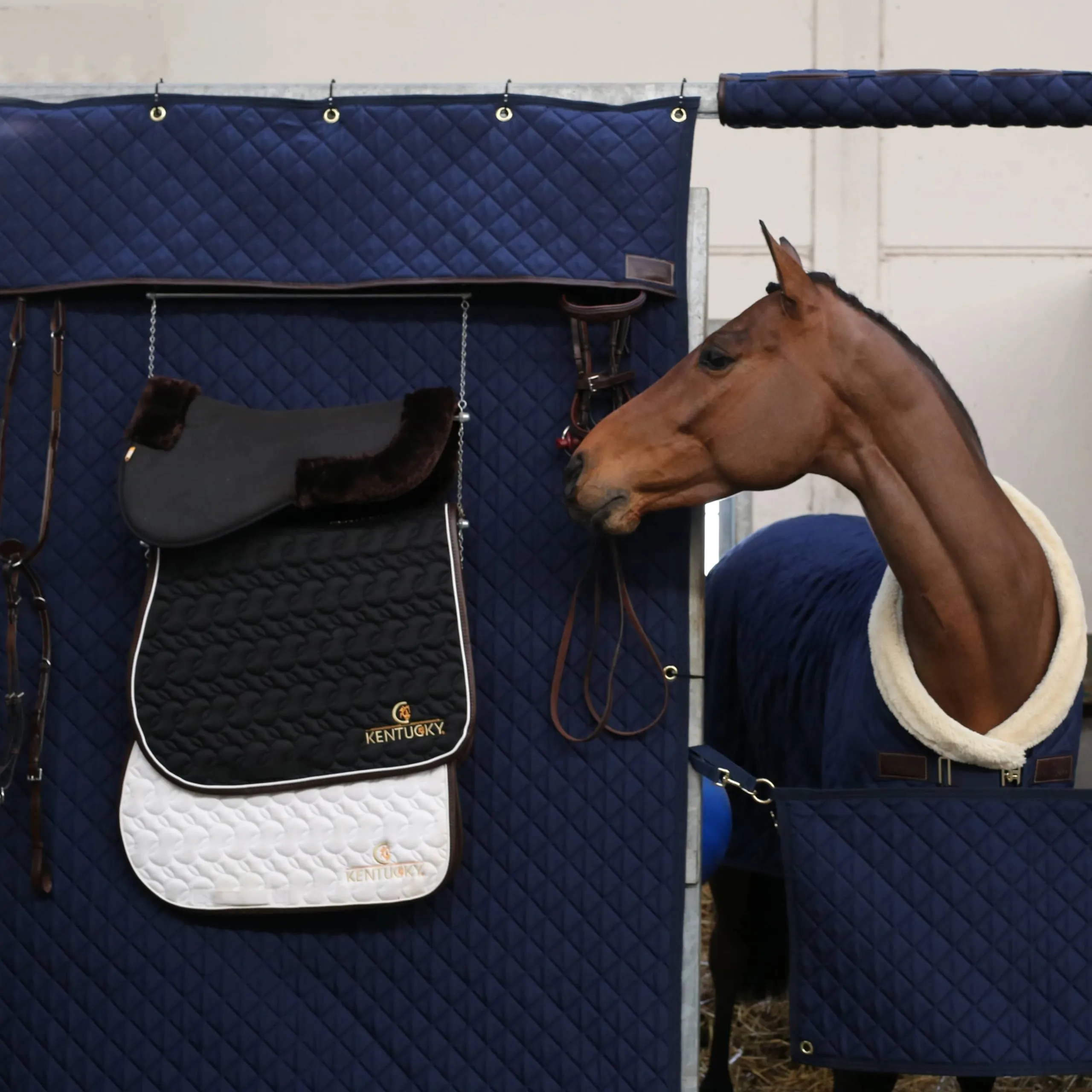 Kentucky Horsewear Stable Curtain - Navy