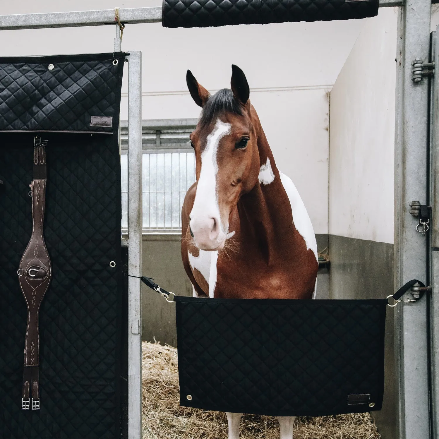 Kentucky Horsewear Stable Guard - Black