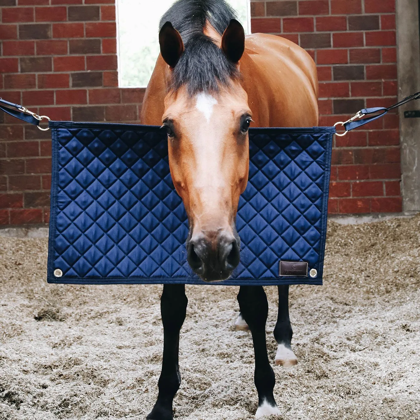 Kentucky Horsewear Stable Guard - Navy