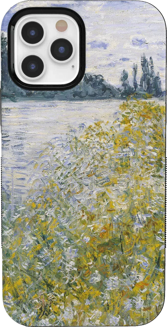 Monet’s Summer Landscape | The Met Series Case
