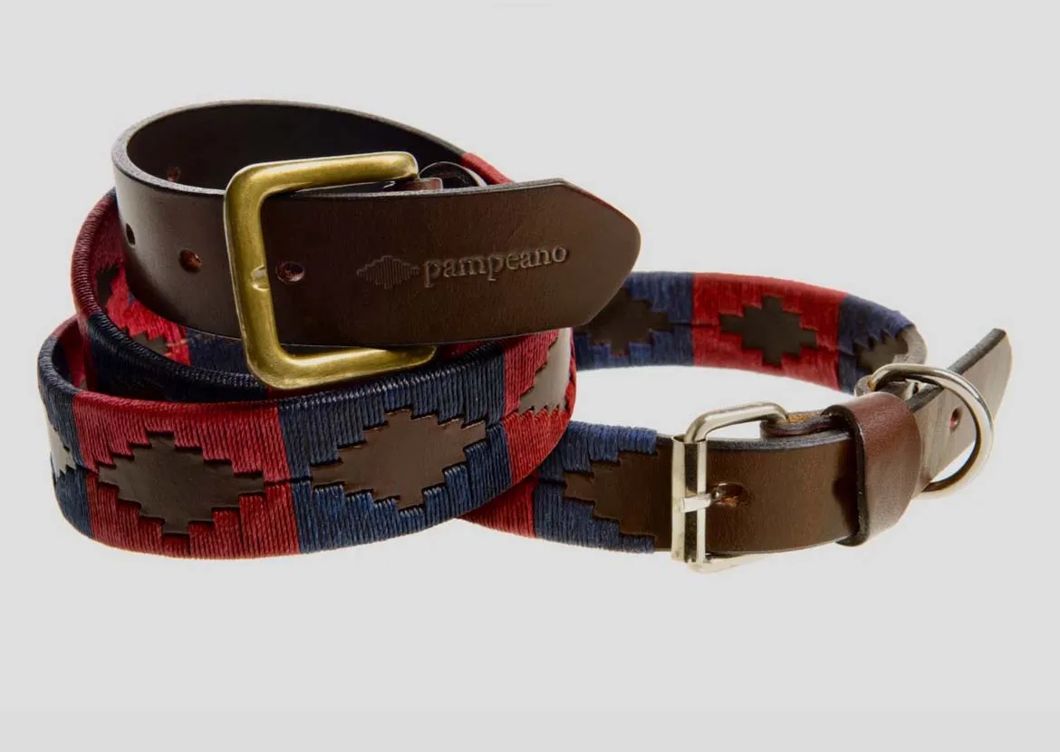 THE HOUSEHOLD DIVISION BRB LEATHER DOG COLLAR