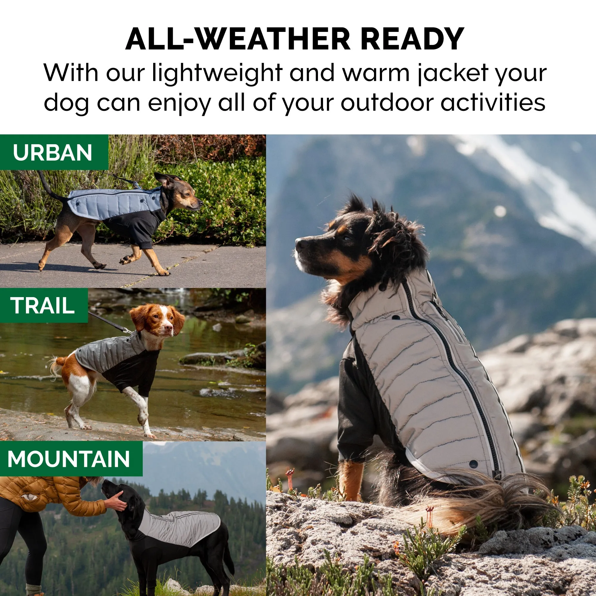 Water-Repellent Reflective Active Pro-Fit Dog Coat