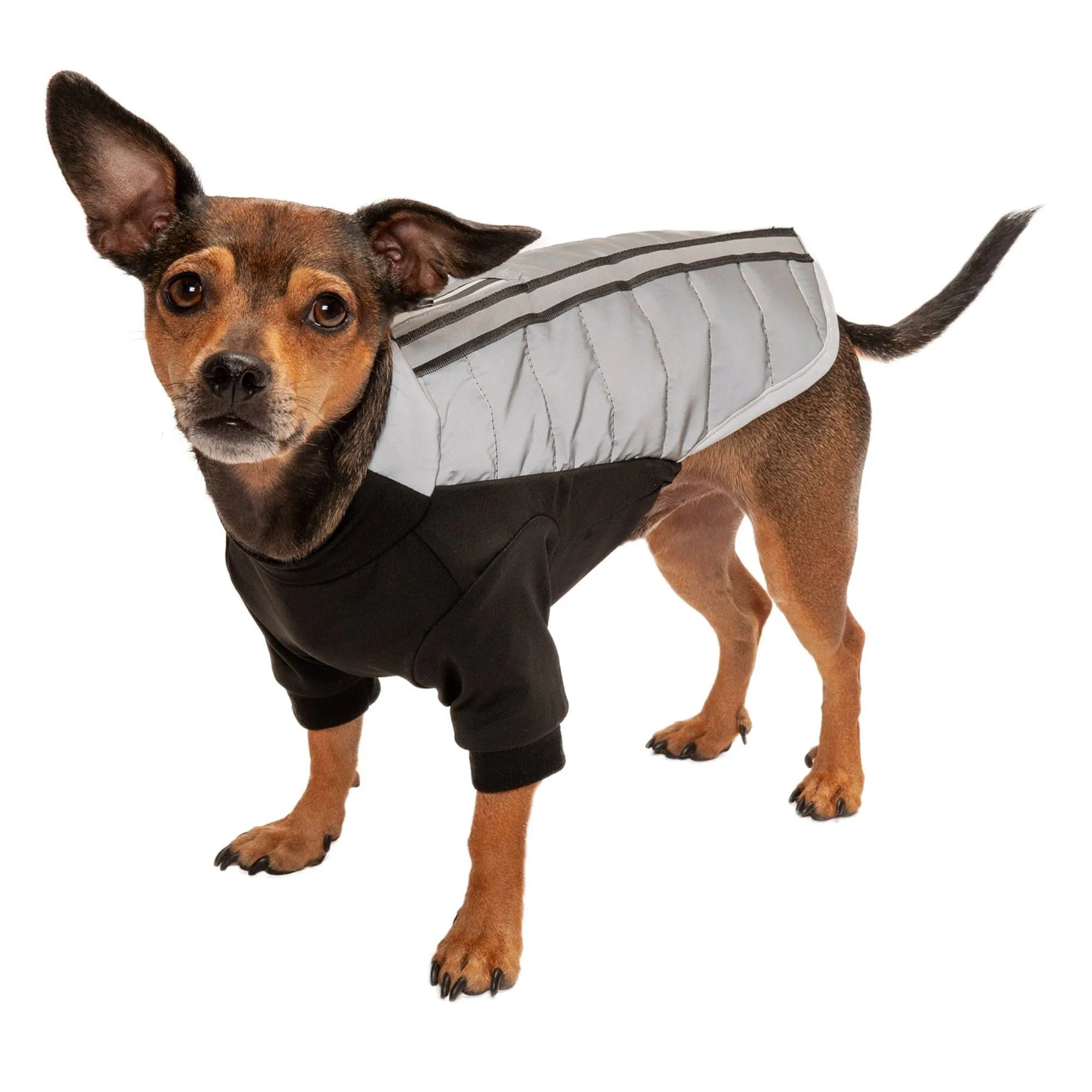 Water-Repellent Reflective Active Pro-Fit Dog Coat