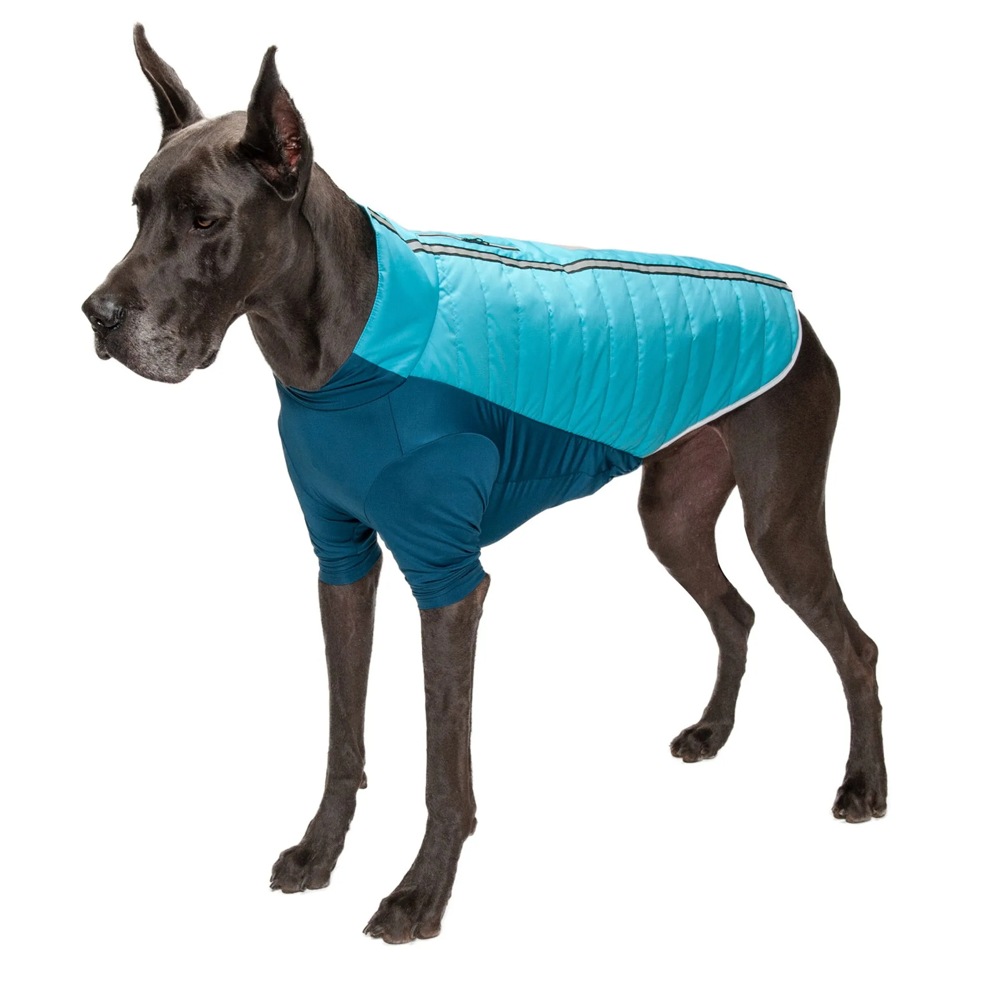 Water-Repellent Reflective Active Pro-Fit Dog Coat